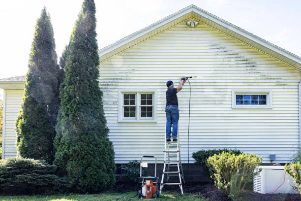 Best Window Cleaning in Bainbridge Island, WA